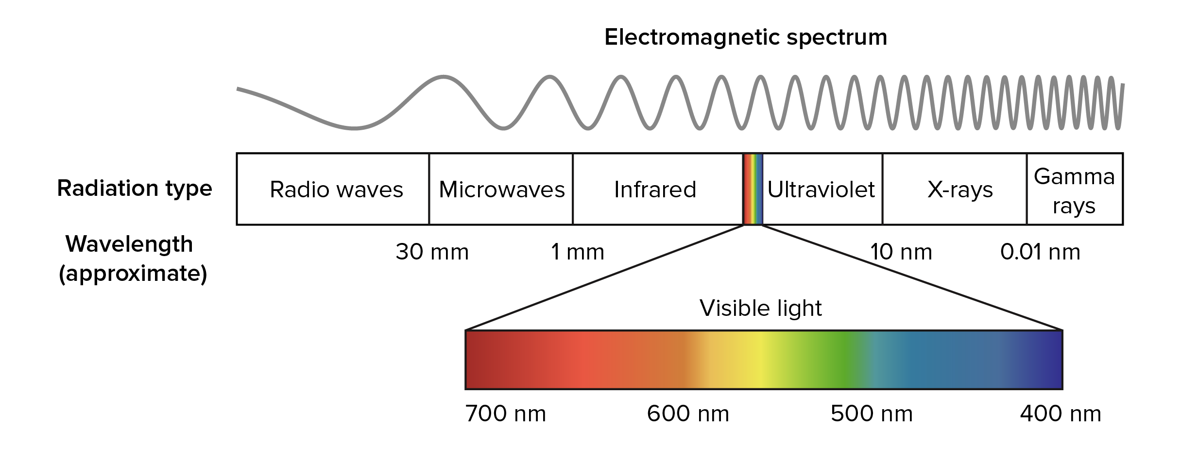 electromagnetic spectrum