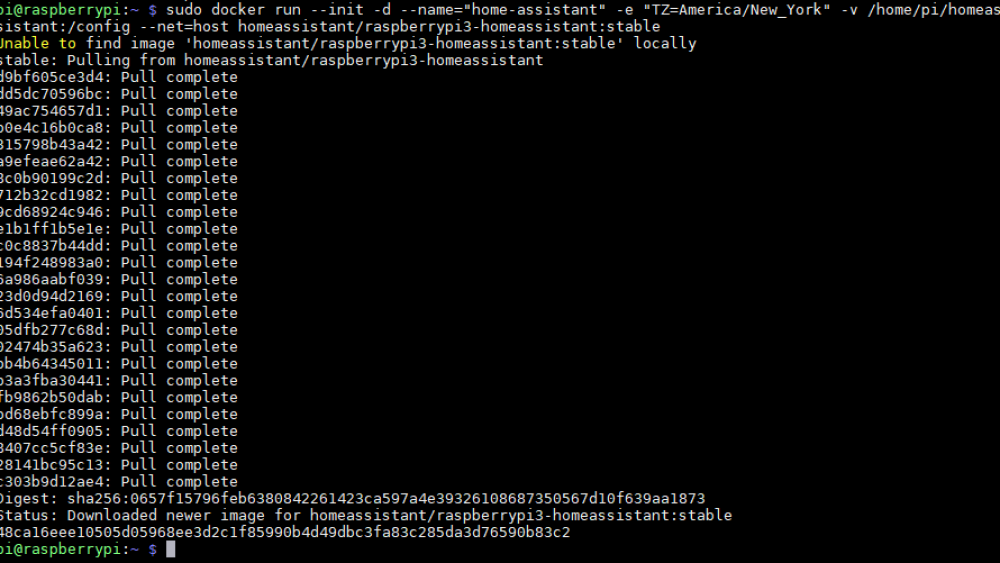 Docker Home Assistant